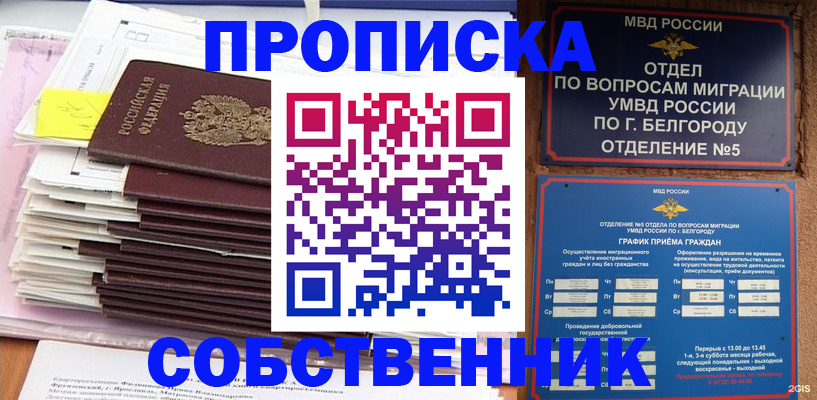 прописка законно в Московской области
